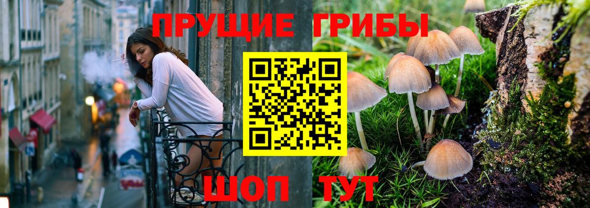 Псилоцибиновые грибы MAGIC MUSHROOMS Кашира